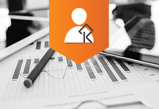 Consultancy services